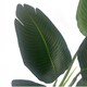 image 2 of Artificial 120cm UV Traveller Banana Palm Tree | Green | 4ft