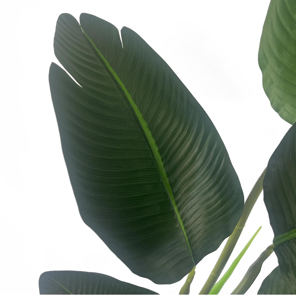image 1 of Artificial 120cm UV Traveller Banana Palm Tree | Green | 4ft