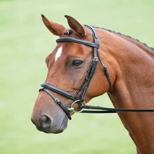 Shires Salisbury Bodenham Bridle Black | Size: Full
Colour: Black