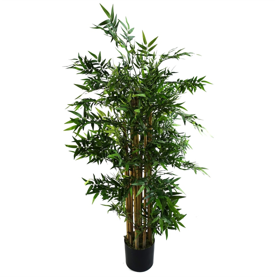 image 1 of Artificial Oriental Bamboo Plant 120cm - Realistic plant by Botanik | Green | 4ft