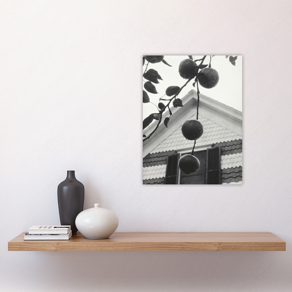 image 1 of Gable and Apples Photograph Alfred Stieglitz Wall Art Poster Print 12X16"