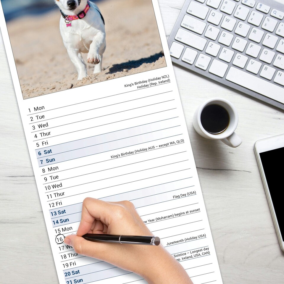 image 1 of Jack Russell Slim 2026 Calendar | Slimline Wall Calendar | Dog Breed Gift | Plastic Free Packaging | by Avonside Publishing [Calendar] Avonside Publishing Ltd