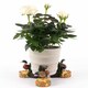 image 1 of Coloured Mallard Duck Plant Pot Feet - Set of 3 Multi