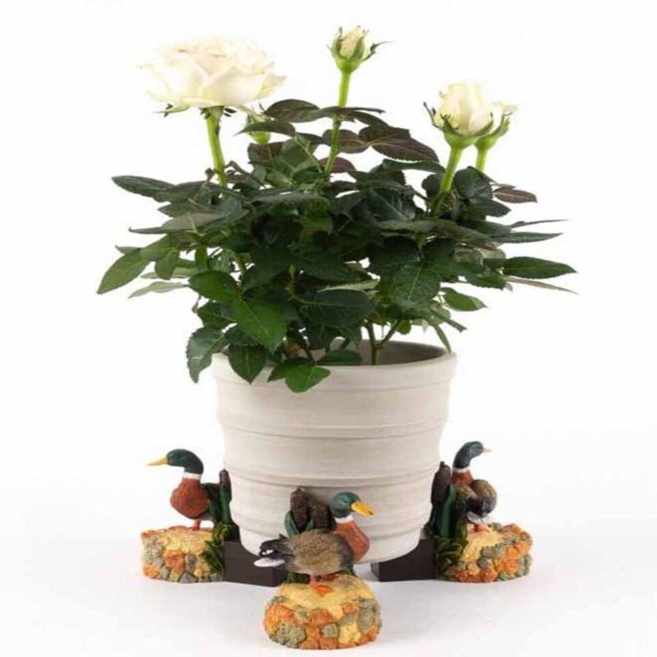 image 1 of Coloured Mallard Duck Plant Pot Feet - Set of 3 Multi