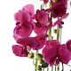 image 3 of 110cm Large Pink Orchid Plant - Artifcial - 41 REAL TOUCH flowers