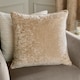 image 1 of Paoletti Lustre Velvet Cushion | Cream | Champagne