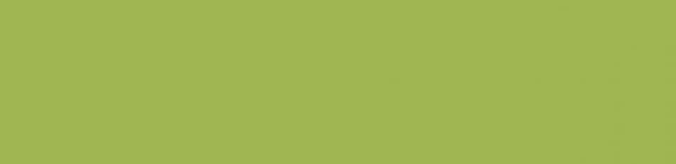 Madeira Green Stranded Cotton Embroidery Thread - per value pack of 10