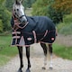 image 2 of Weatherbeeta Comfitec Premier Therapy Tec Detachable Neck Horse Turnout Rug - Black/Silver/Red - 5´ 6"