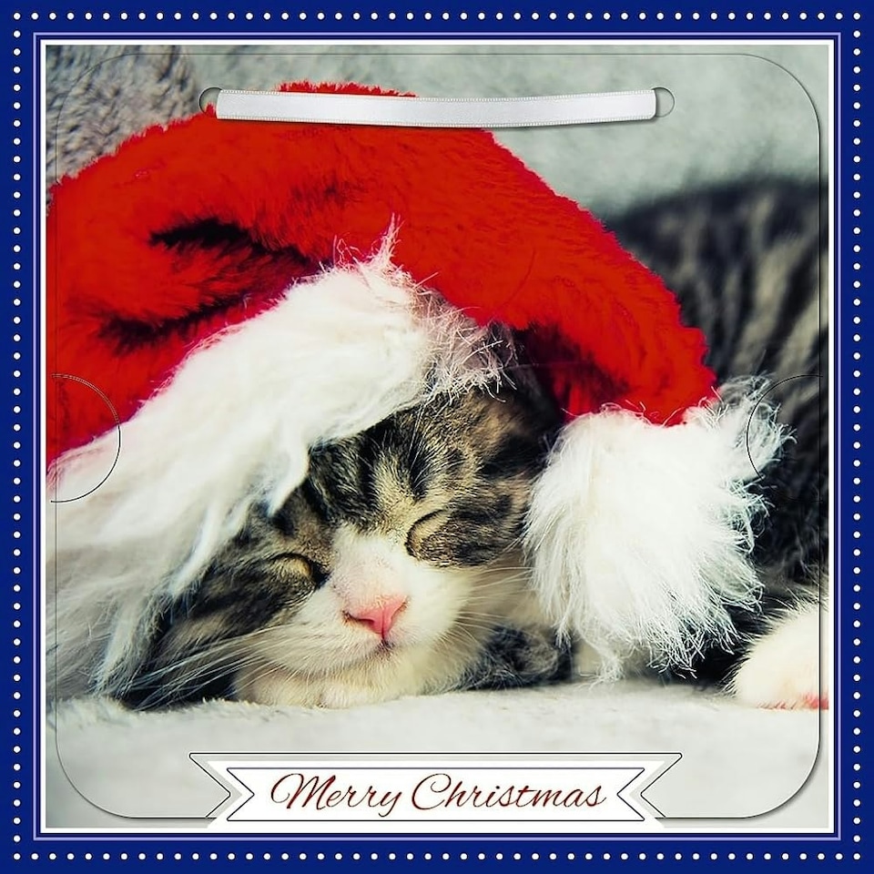 image 1 of Cat In Santa Hat Photographic 3D Lenticular Merry Christmas Card with Detachable Keepsake