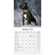 image 3 of American Staffordshire Terrier 2026 Calendar | Square Wall Calendar | Dog Breed Gift | Plastic Free Packaging | by Avonside Publishing