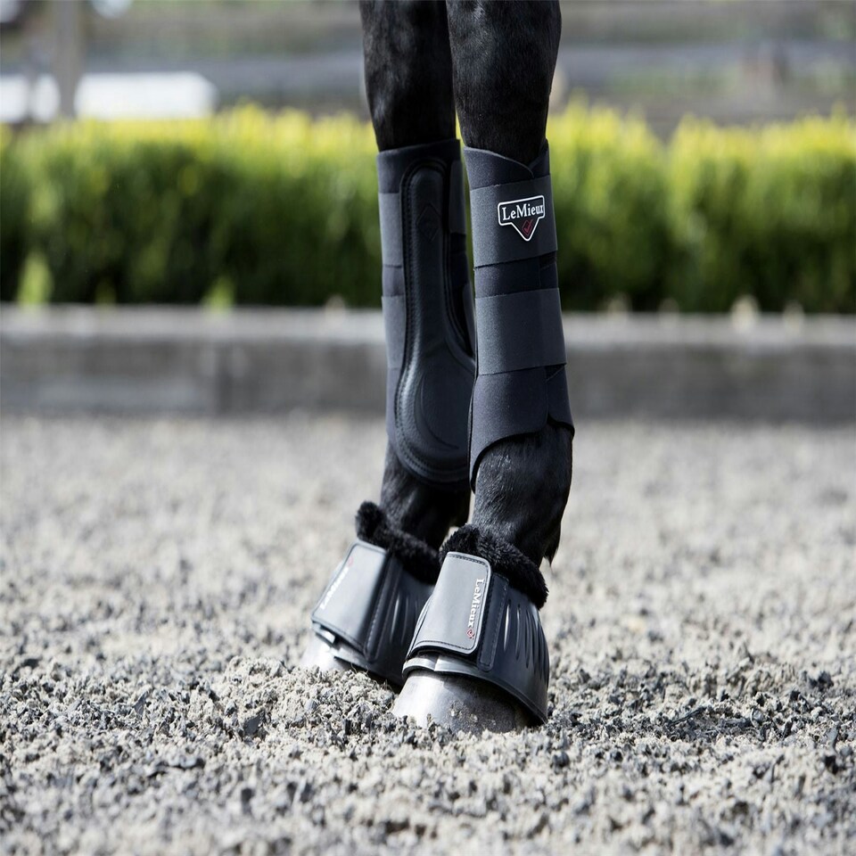 image 1 of LeMieux Rubber Bell Boots with Fleece Black | X-Large