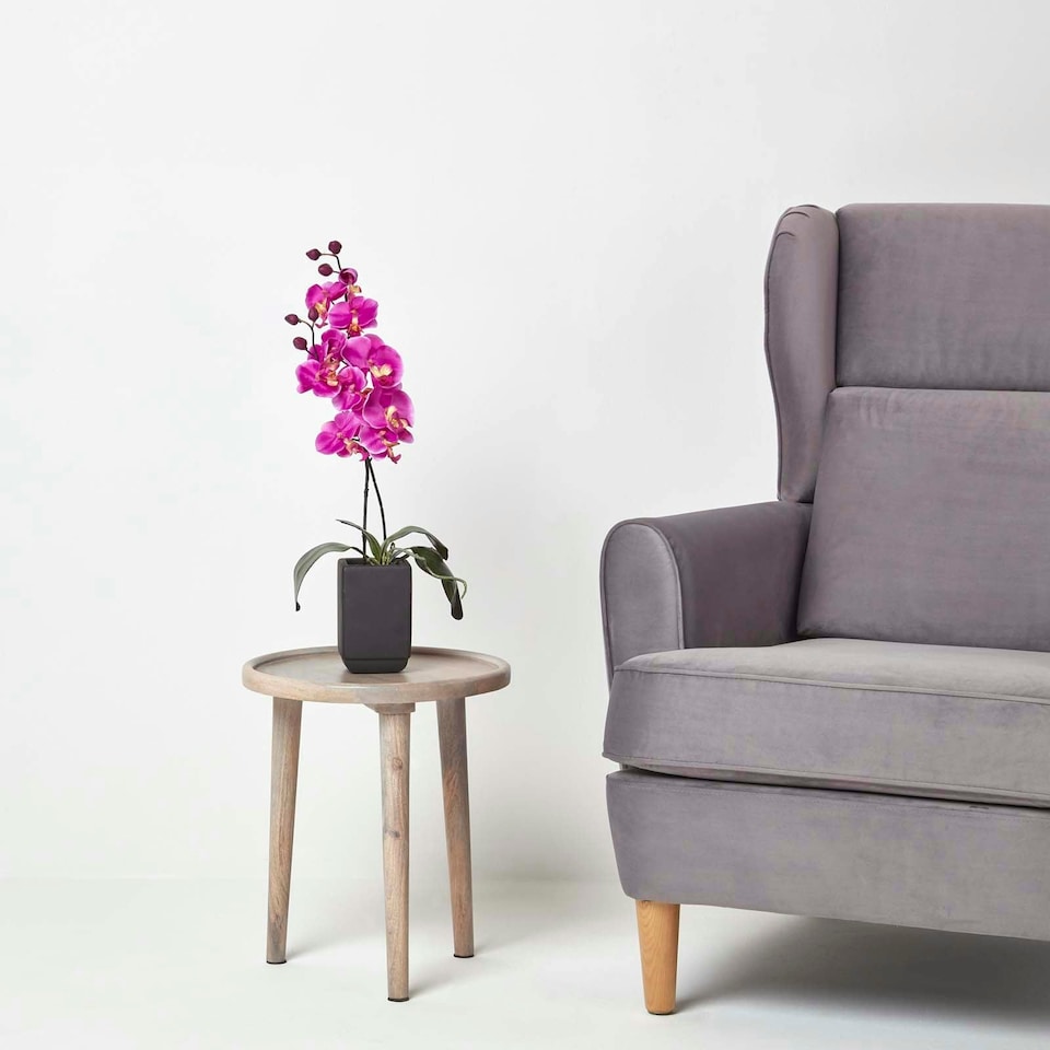 image 1 of Homescapes Set of 2 Cream & Pink Artificial Orchids in Black Ceramic Pots, 55 cm