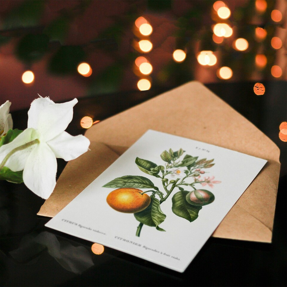 image 1 of Pierre-Joseph Redouté Art Card Bitter Orange Vintage Botanical