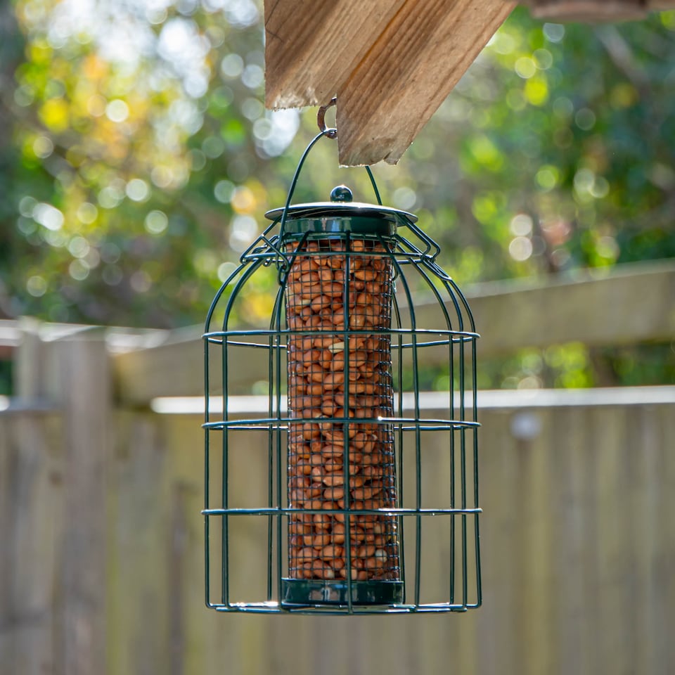 image 1 of Pack of 2 Samuel Alexander Metal Hanging Bird Nut Feeder with Squirrel Guard & Pack of Nut Feed
