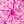 Candy Pink