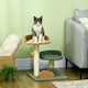 image 2 of PawHut Small Cat Tree with Scratching Posts 2 Beds Toy Ball Indoor, Multi