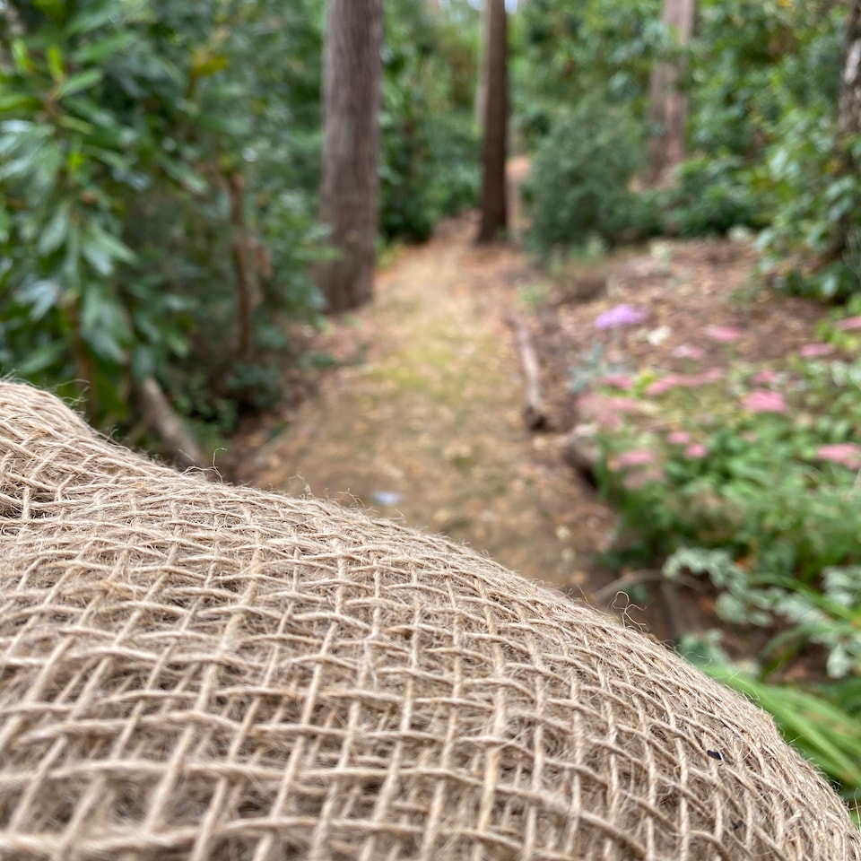 image 1 of Compostable Biodegradable Leaf Mould Sacks Bags - Pack of 20