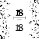 image 2 of 1 Pk 18th Confetti Black & Silver 14g