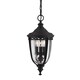 image 1 of English Bridle 3 Light Medium Outdoor Ceiling Chain Lantern Black, E14