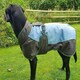 image 3 of Henry Wag Waterproof Dog Coat With Adjustable Collar (Medium 45cm)