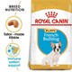image 1 of Royal Canin French Bulldog Puppy Dry Food - 3 kg | Multi | 3kg | 1