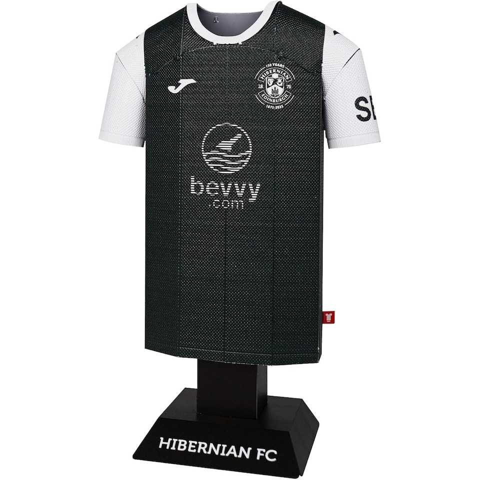 image 1 of RadStuff Metal Alloy Football Shirt - Hibernian FC 2025/26 Metal Home Kit