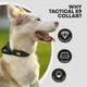 image 10 of HugglePets Tactical K9 Endurance Dog Collar Black | S