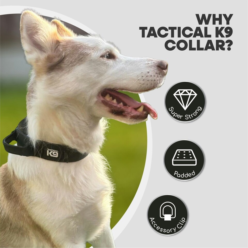 image 1 of HugglePets Tactical K9 Endurance Dog Collar Black | S