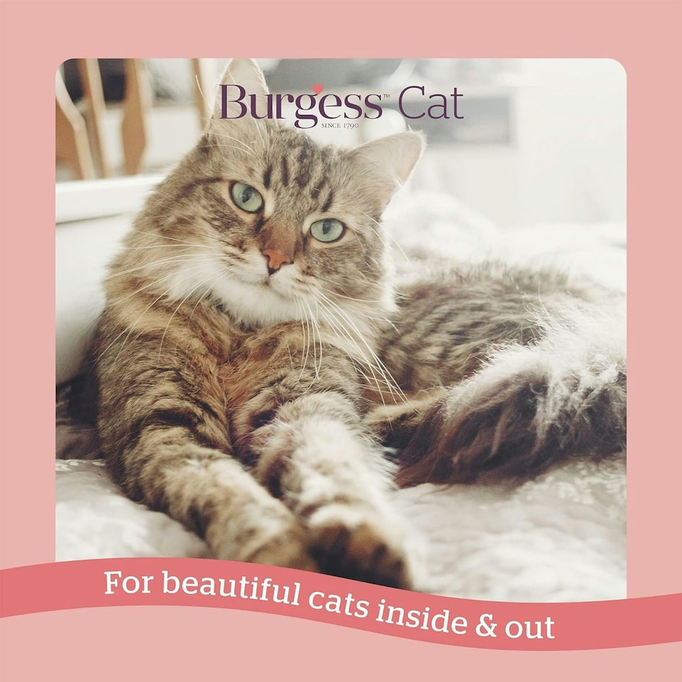 image 1 of Burgess Adult Cat Scottish Salmon - 10KG