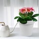 image 2 of Adjustable Drain Pipe Flower Pot Holder | White | 1
