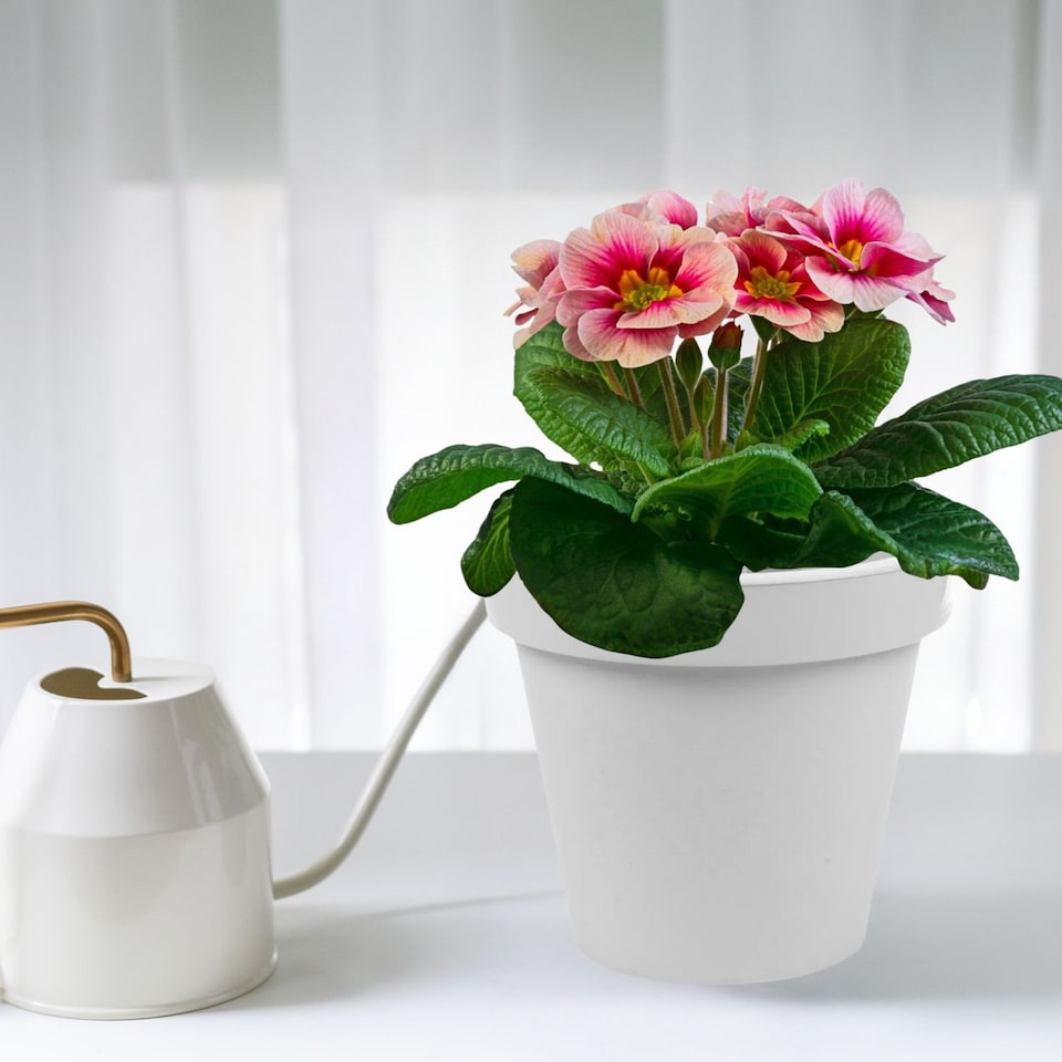 image 1 of Adjustable Drain Pipe Flower Pot Holder | White | 1