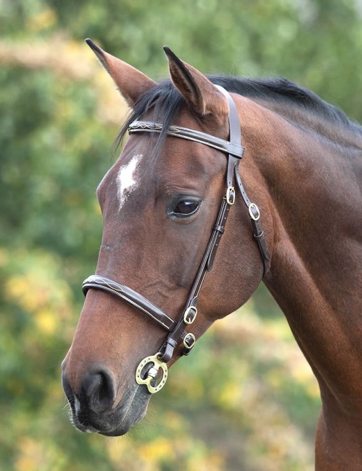 image 1 of Shires Blenheim Fancy Stitched Inhand Bridle Black | Size: Cob
Colour: Black