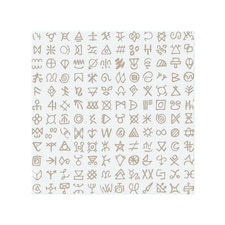 Viking Ritual Symbols Splash Back | White