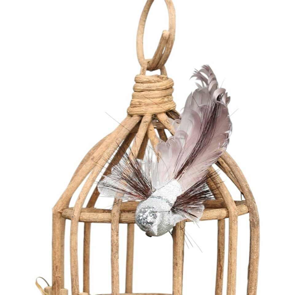 image 1 of Decorative Silver Fantasy Bird With Clip - 15cm