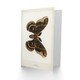 image 2 of Sherman Denton Art Card Cecropia Moth Vintage Illustration