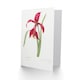 image 2 of Pierre-Joseph Redouté Art Card Amaryllis Flower Vintage Floral