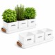 image 1 of Set of 6 White Indoor Herb Pots with Tray