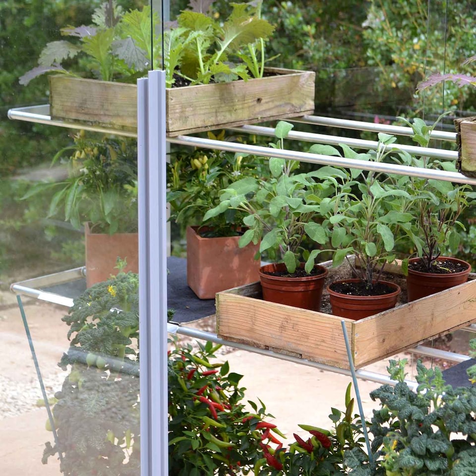 image 1 of Marshalls Garden 4' 3/4 Midi Growhouse - Aluminium Frame, 3mm Toughened Glass