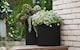 image 4 of Keter Cylinder Planter Set of 3 - Grey