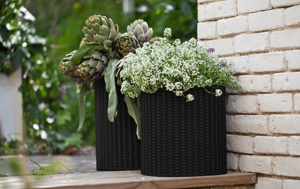 image 1 of Keter Cylinder Planter Set of 3 - Grey