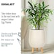 image 3 of Plaited Style Beige Planter with Legs, Round Indoor Plant Pot Stand for Indoor Plants by Idealist Lite D30 H43 cm, 19L