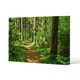 image 1 of Woodland path (Canvas Print)