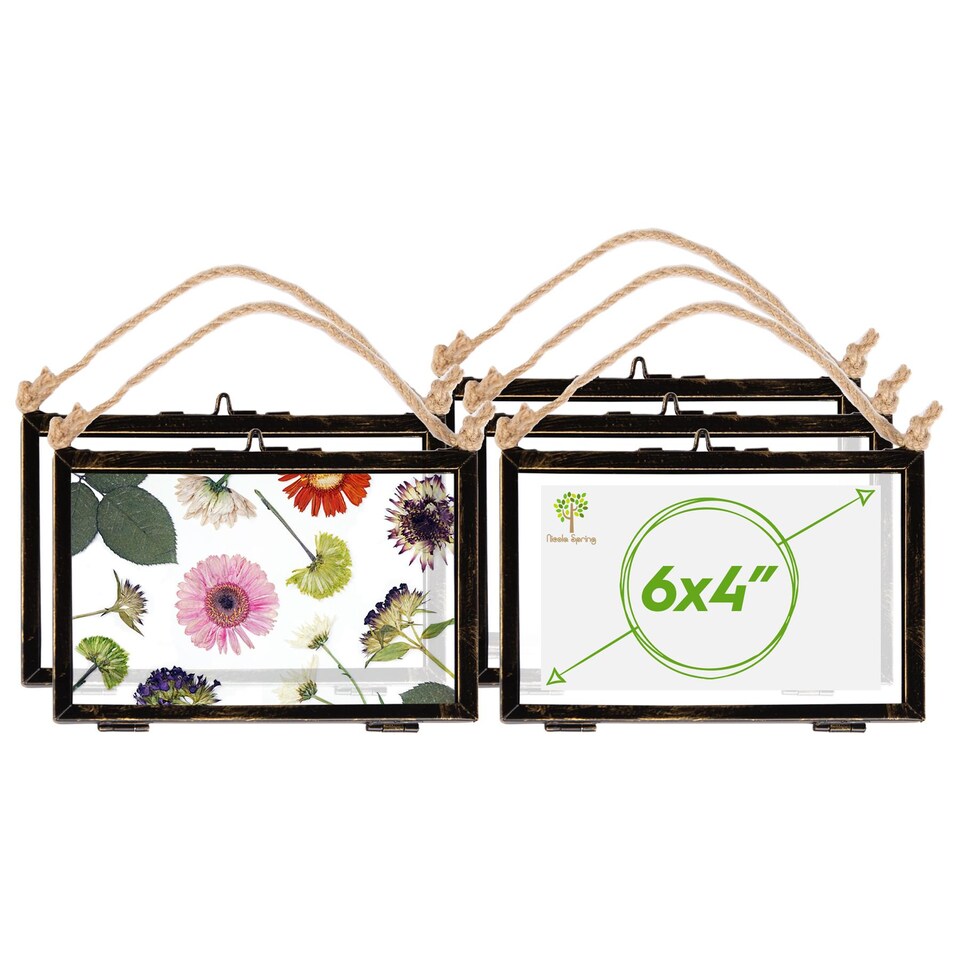 image 1 of Nicola Spring Hanging Metal Photo Frames - 6" x 4" - Black - Pack of 5 | Black | Black | One Size