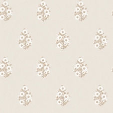 Sample of Posy Wallpaper in Taupe on Cream | Cream | Taupe on Cream