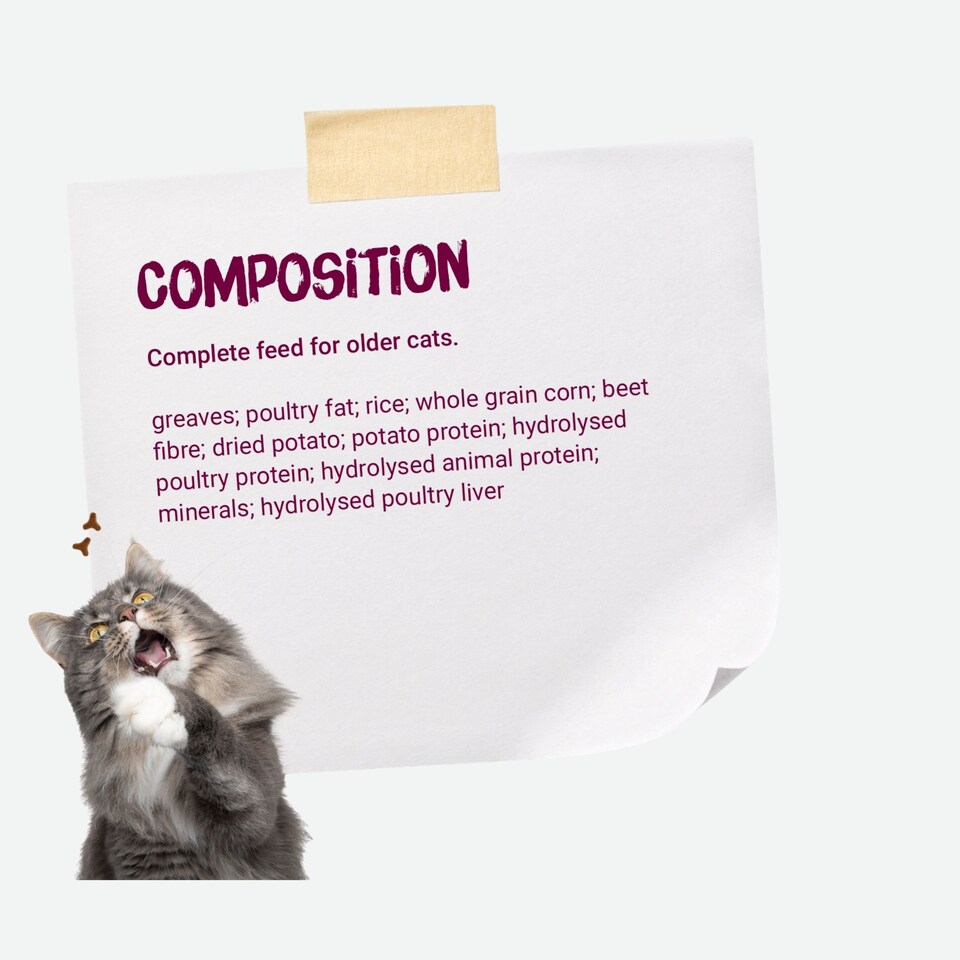 image 1 of Josera Senior complete food for older cats | Easily digestible | Kidney support | Sensitive stomach | Gluten free | Anti-Hairball | Herbs & Fruits | 0.4kg