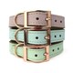 image 7 of Skye & Murphy Luxury Padded Leather Dog Collar | Pink | L