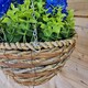 image 4 of Best Artificial 25cm / 10 Inch Blue Hyacinth Hanging Basket - Suitable for Outdoor Use - Weather & Fade Resistant | Red | Red | 1
