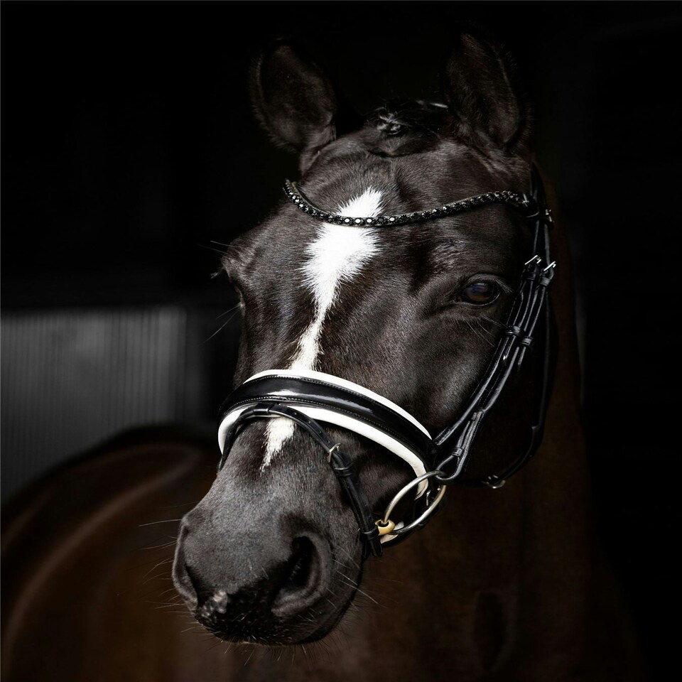 image 1 of LeMieux Kudos Patent Dressage Bridle Brown | X-Full