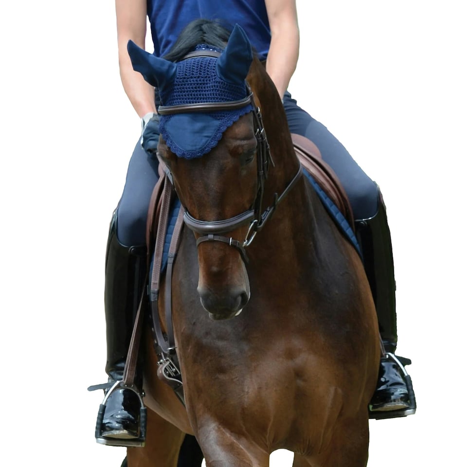 image 1 of Weatherbeeta Prime Ear Bonnet - Navy - Pony