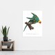 image 4 of The Yellow Crowned Parakeet Levaillant Huge Wall Art Poster Print 24X32"